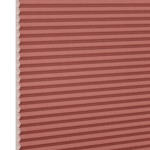Plissee Duette&reg; Plissee Duette� EL Plain StreetSideP35407