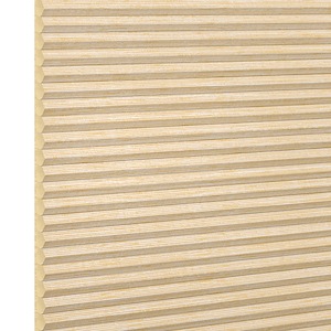Plissee Duette&reg; Plissee Duette� EL Plain StreetSideP35411